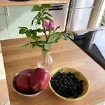 Tatil Evi Naer Hav Og Skov I Lundeborg Svendborg