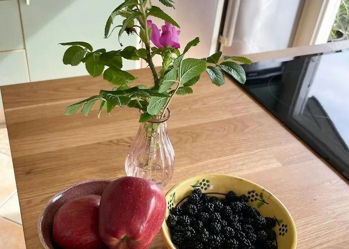 Nyaraló House Near Sea And Forest In Lundeborg Svendborg
